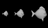 All Fish Models