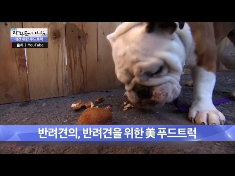 애견을 위한 푸드 트럭이 있다?! [광화문의 아침] 245회 20160602