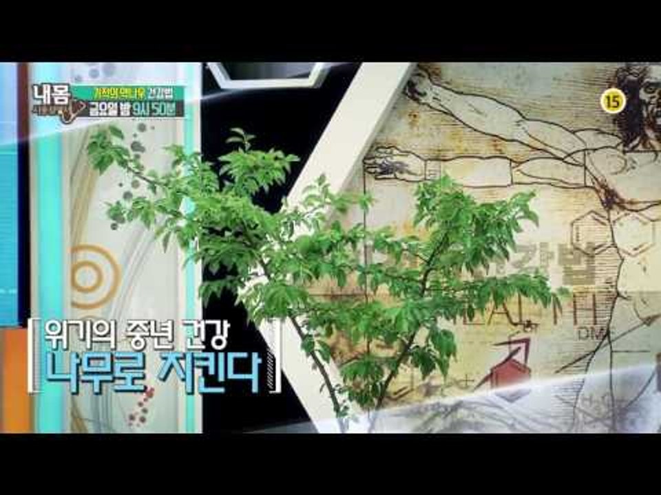 기적의 약나무 건강법_내 몸 사용설명서 105회 예고