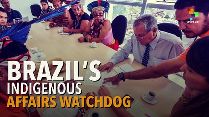 Brazil Govt Sacks Outspoken Indigenous Watchdog