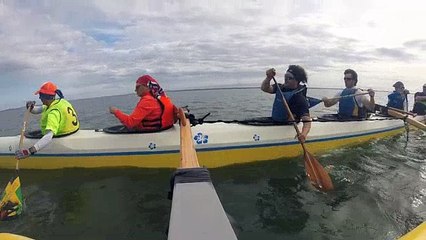 Ile aux oiseaux 2017