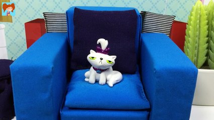 Barbie Günlükleri Bölüm 19 Lütfü Hakkında Bilinmeyenler Barbie izle Oyuncak Yap