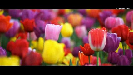 Juin 2017 Les plus beaux paysages du monde en HD