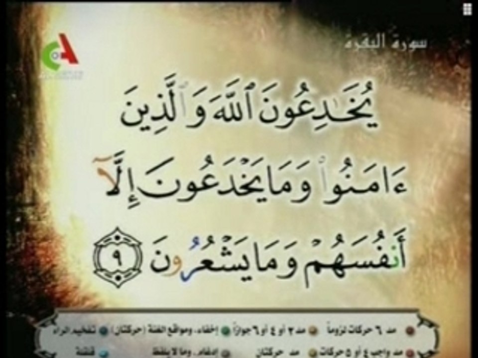 abou bakr shatery sourate al Baqara v1-v17