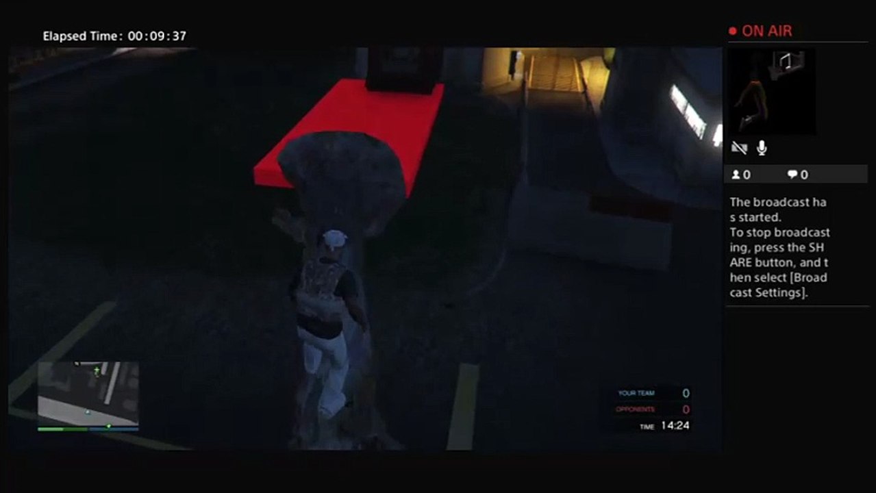 Playing gta5 (46)