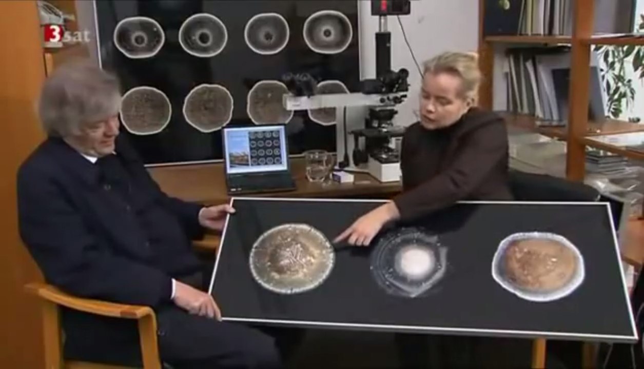 Faszination Wasser! - Das Gedächtnis (komplett)