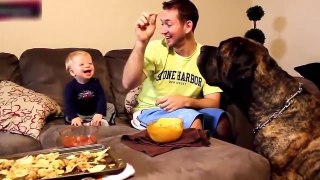 best-funny-babies-funny-babies-compilation-amazing-babies-dancing-funny-baby-15