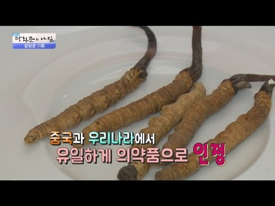 발기부전 치료 동충하초! [광화문의 아침] 242회 20160530