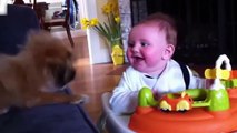 best-funny-babies-funny-babies-compilation-amazing-babies-dancing-funny-baby-19