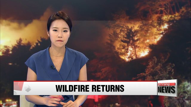 Forest fires continue to rage in eastern Korea