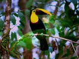Costa Rica Reisen mit travel-to-nature-f3H8o9wCul8