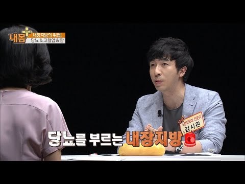 내장지방, 당뇨를 일으키는 원인! [내 몸 플러스] 8회 20160529