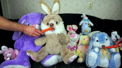 Stuffed Bunnies Come to Life- Funny Dogs Maymo & Penny