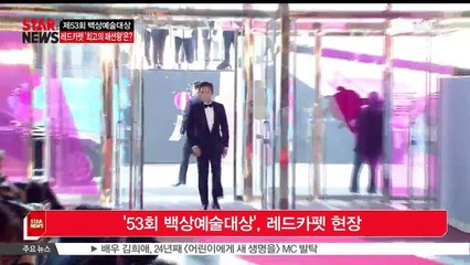 53회 백상예술대상, 레드카펫 '최고의 패션왕'은 누구