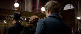 Fantastic Beasts and Where to Find Them _ official international trailer (2016) Eddie Redmayne-XMy