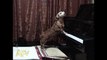 Dog Plays Piano And Sings - Funny Dogs - AFV