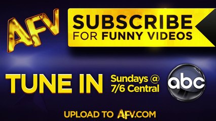 Dog Sneeze Or Horse Neigh- - Funny Dogs - AFV