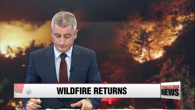 Forest fires continue to rage in eastern Korea