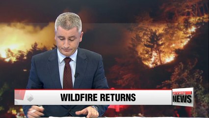 Forest fires continue to rage in eastern Korea