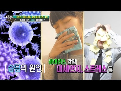 나잇살 빠지지 않는 이유, '습담'은 무엇? [내 몸 사용 설명서] 103회 20160520