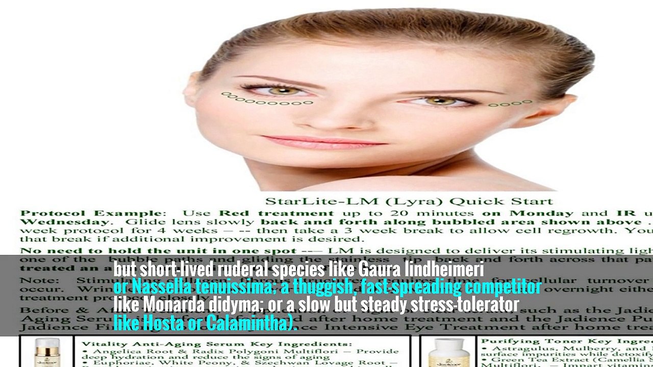 It would describe its shape, its root system (taprooted, deep fibrous roots, shallow horizontal roots); its life span (a short-lived pioneer like columbine, or a long-lasting lavender); its sociability level; its adaptation to stress (quick-establishing,