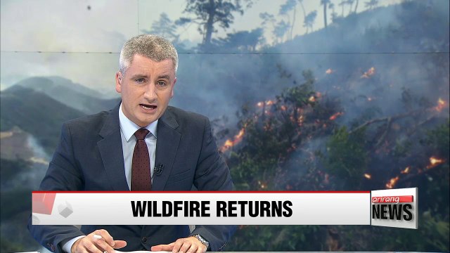 Forest fires continue to rage in eastern Korea