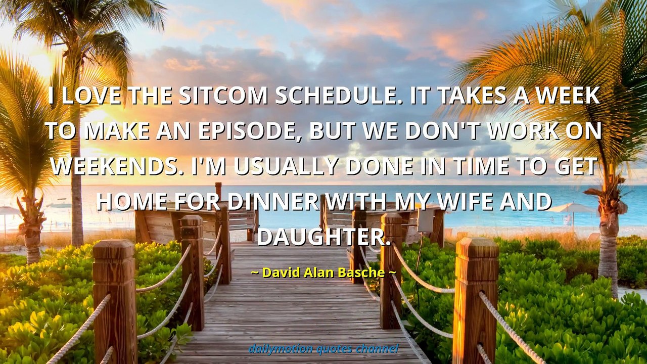 David Alan Basche Quotes