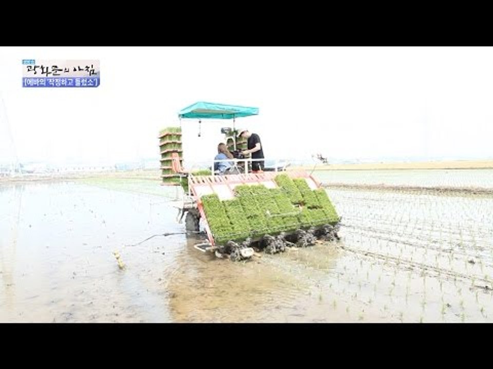 에바의 이앙기로 모내기 도전! [광화문의 아침] 240회 20160526