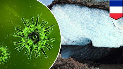Global warming could unleash ancient viruses in permafrost