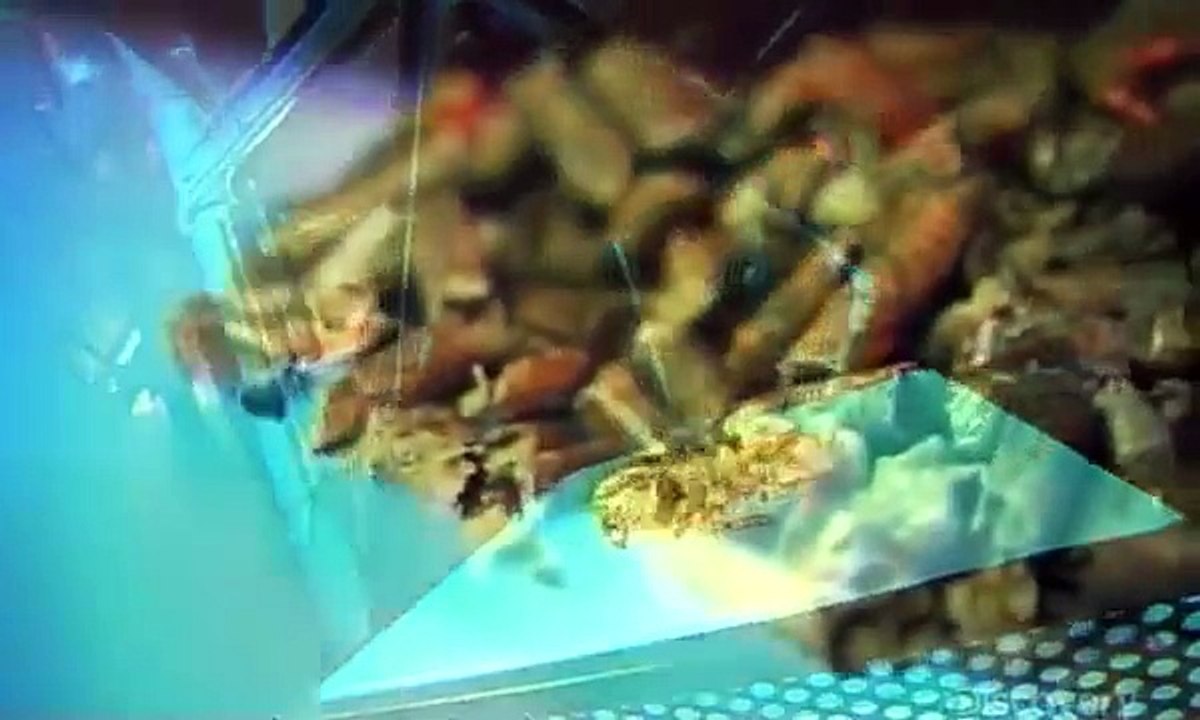 How It's Made Rolled Wafers