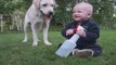 Se bébé est plié de rire en jouant avec son chien... Adorable