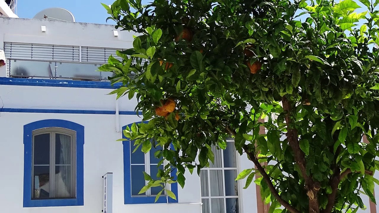 Albufeira, region Algarve w Portugalii, piątek 15 lipca 2016 r.