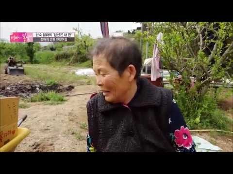 허리가 아파도 당신의 편함을 위해서[엄마의 봄날] 43회 20160523