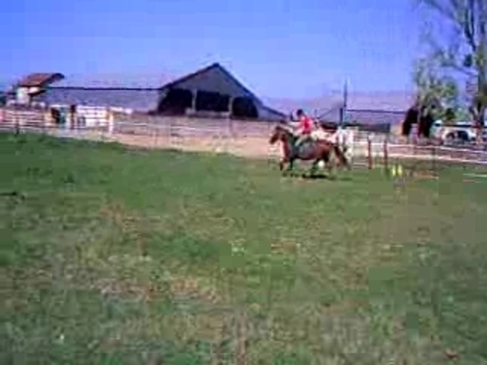 quouala saute 2