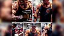 Clone of Sylvester Stallone Vascular Bodybuilder
