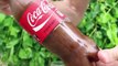 Self Freezing Coca-Cola (The trick that works on any soda!)asd