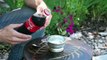 Self Freezing Coca-Cola (The trick that works on any soda!)dsa
