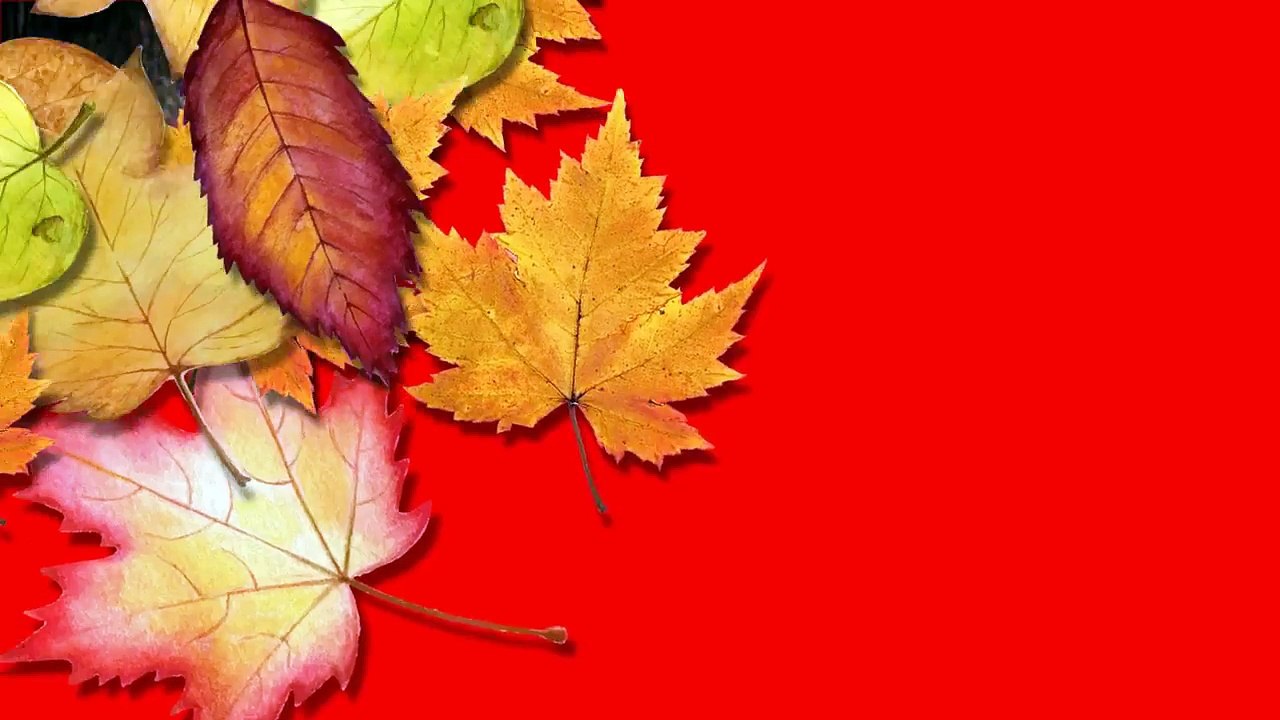 TV Celebs Who Tried Their Luck In Bollywood But Not Success - Rajeev Khandelwal , Barun soborti , Janifer winget , Jay , Gurmeet chudry