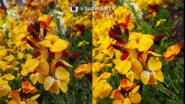 LG G4 vs Samsung Galaxy S6 Camera Test Comparison