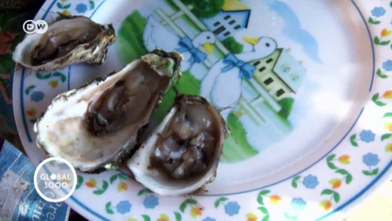 Global Snack: Mexikanische Austern | DW Deutsch