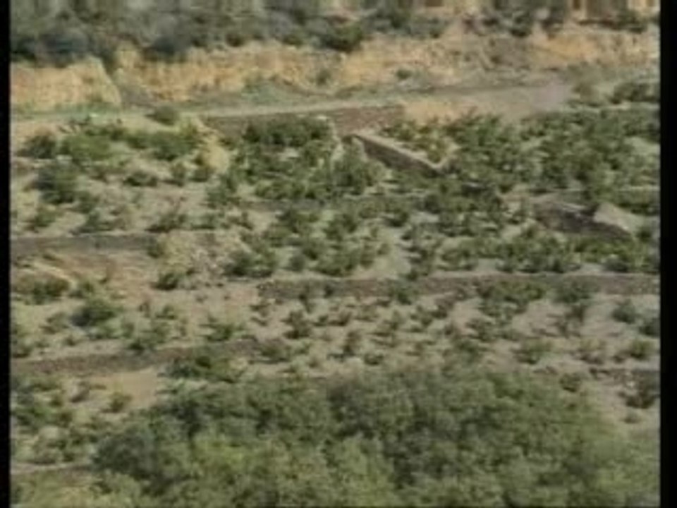 Les dieux du vin - Roussillon