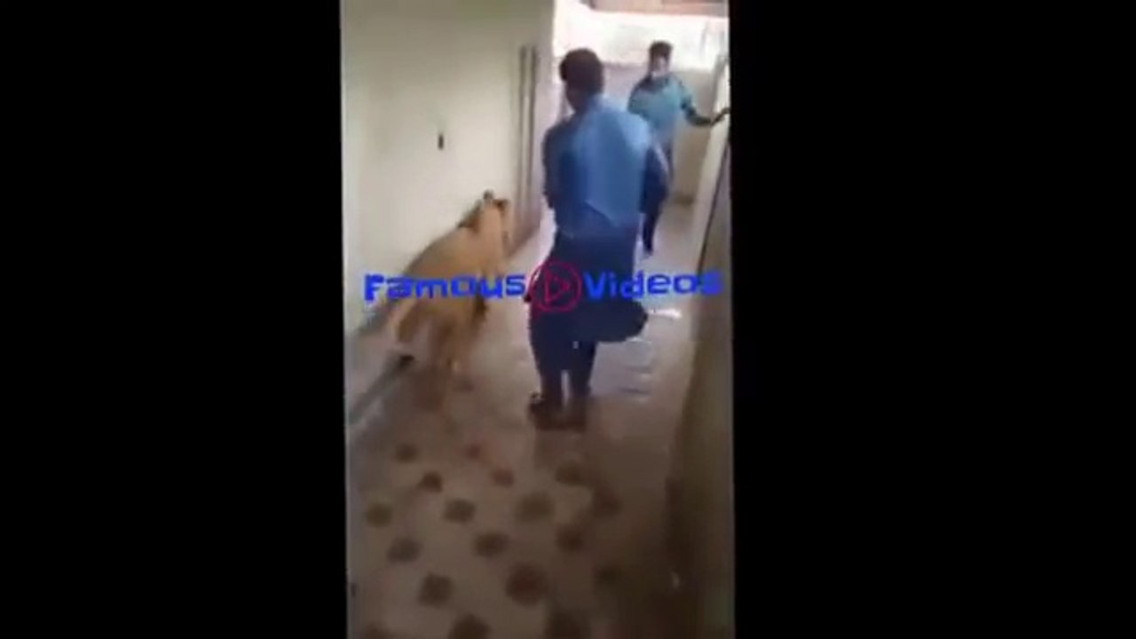 New Funny videos china - Chinese India funny videos 2017