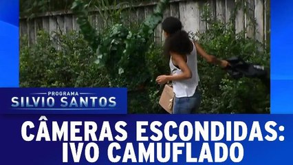 Câmeras Escondidas: Ivo Camuflado