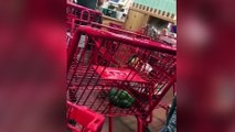 Islamaphobic MELTDOWN in Trader Joe's Caught On Camera!