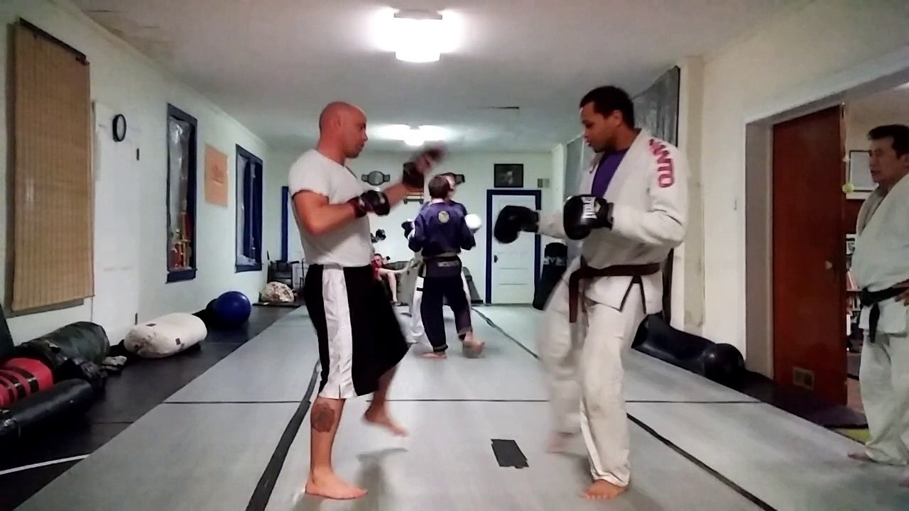 Different ways to catching the low kick