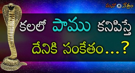 క‌ల‌లో పాము క‌నిపిస్తే ఏమౌతుందో చూడండి|What Does It Mean When You Dream About Snakes?