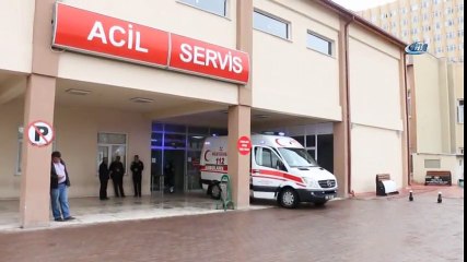 Kene Bir Can Daha Aldı