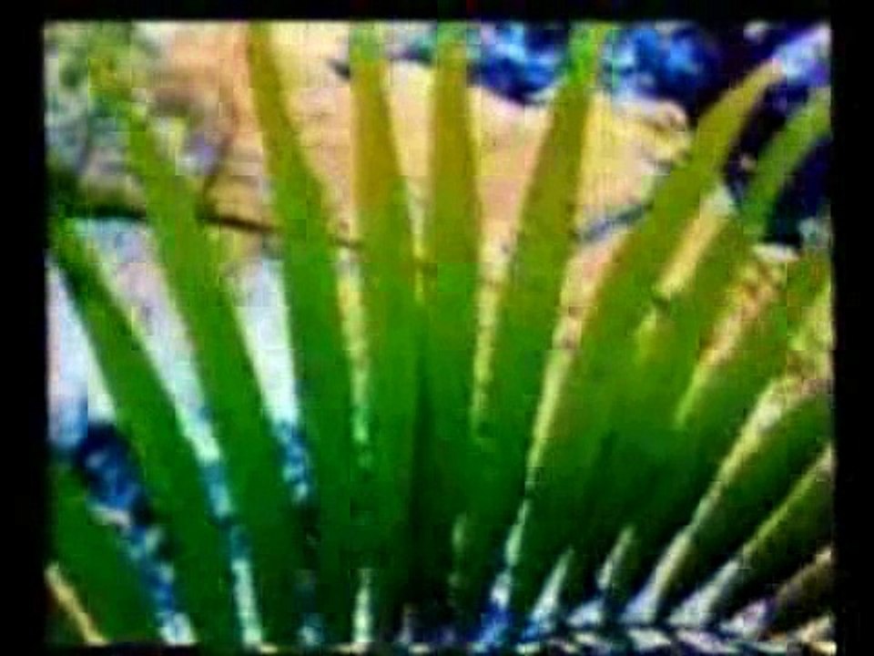 برنامج العلم والإيمان للدكتور مصطفي محمود - القنبلة الخضراء