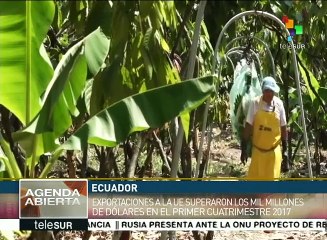 Exportaciones de Ecuador a UE superan los mil millones de dólares