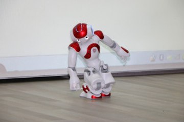 Gösteri Yapan Insansı Robot 'Bayıldı'